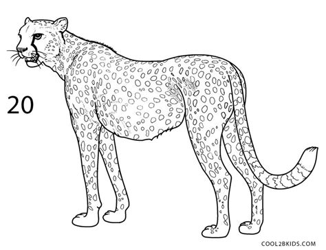 Coloring page pencil sketch fun2draw african animal pencil drawing anime. How to Draw a Cheetah (Step by Step Pictures)
