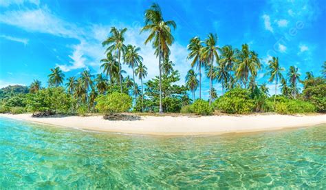 Panorama Of Beautiful Beach On Paradise Tropical Island With Coconut