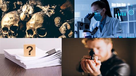 Main Branches Of Forensic Science Forensic Rashmi
