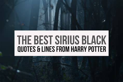 The 30 Best Sirius Black Quotes And Lines From Harry Potter