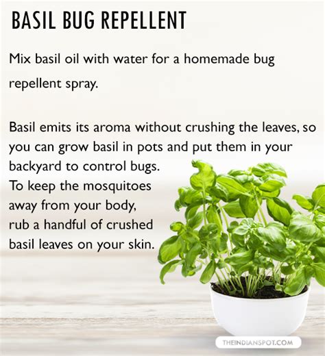 You're trying to get rid of those bugs that are eating up your precious herbs! DIY homemade Natural, nontoxic insect, bug and mosquito spray