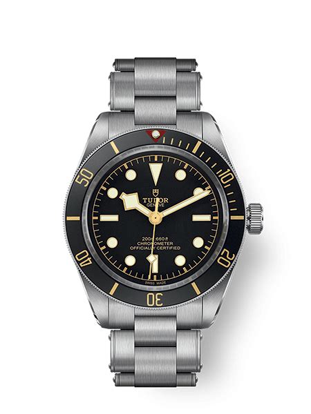Tudor Black Bay 58 Watch M79030n 0001 Tudor Watch