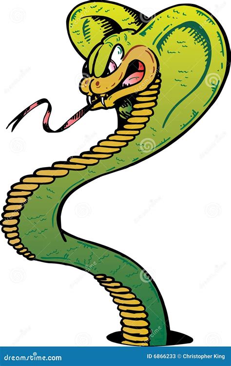 Angry Cobra Snake Vector Illustration Stock Vector Illustration Of