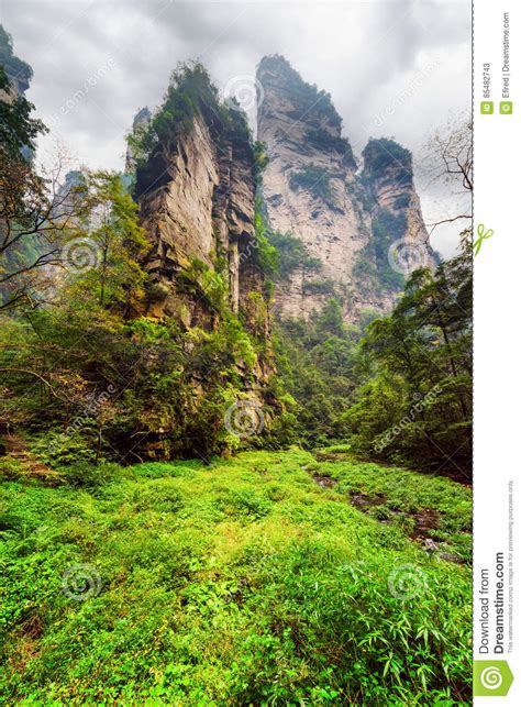 Bottom View Of Fantastic Rocks Among Green Woods And Creeks Stock Image