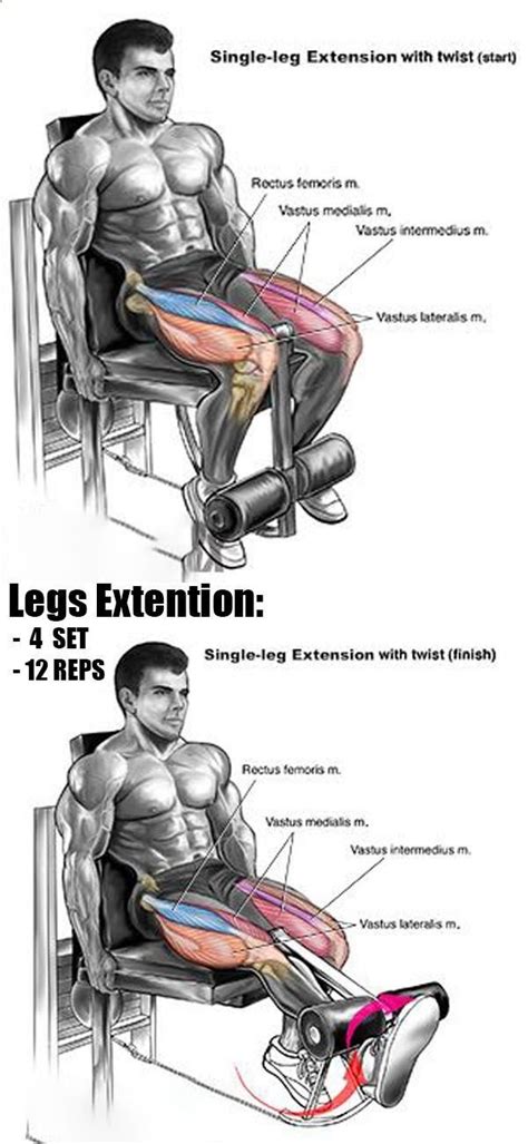🔥muscles Of The Legs Quads And Calves Guide Best Gym Fit Board