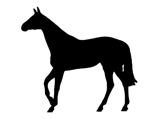 Horse Black Silhouette Free Stock Photo Public Domain Pictures