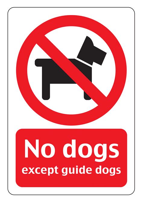 No Dog Signs Poster Template