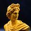 Greek Roman God Apollo Bust Statue Belvedere Museum Replica 