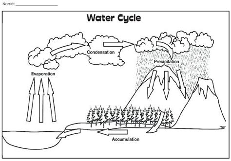 Water Cycle Coloring Sheet Coloring Pages