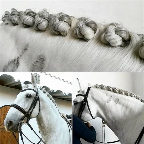 Remember, this hairstyle is good for shows and photo shoots but. Pin by Marfy Ozuna on Horses | Horses, Horse braiding ...