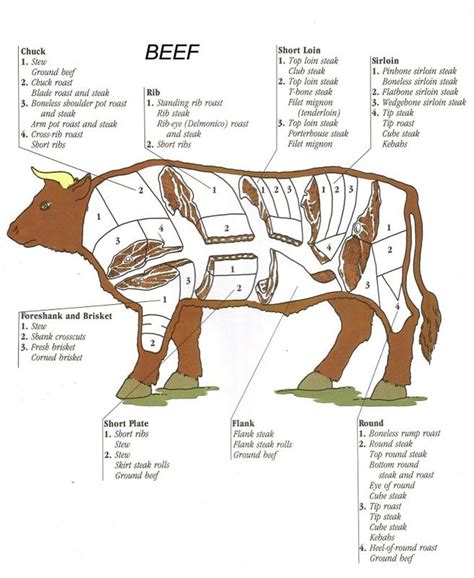 Beef steaks are mostly cut perpendicular to the muscle fibers from a large section of a cow, and may or may not include a bone. Amerikaanse - Nederlandse vleesbenamingen - BBQ NL