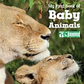 My 1st Book of Baby Animals National Wil (Board Book) - Walmart.com