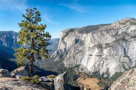 Scenic Landscape Of Yosemite Granite Cliff Stock Photo Image Of Blue