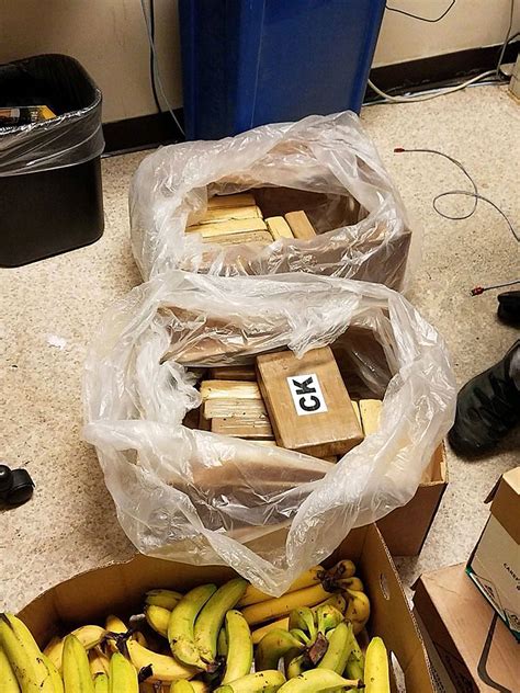$1M worth of cocaine found in banana boxes at Western Washington