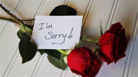 Sometimes a simple apology isn't enough. Apology Quotes - Apologize Quotes - YouTube