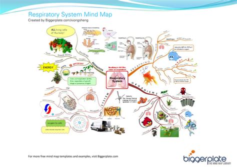 Mind Map Respiratory System Teaching Resources