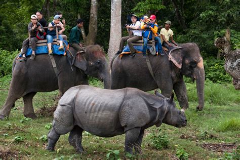 Nepal Park Guards Accused Of Persecuting Indigenous People Human