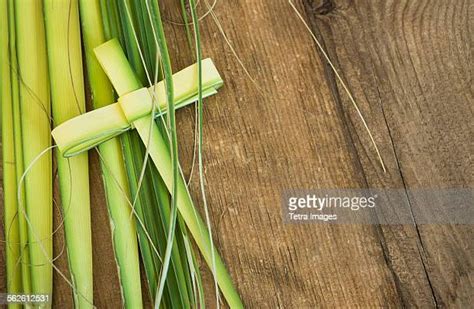 Palm Sunday Photos And Premium High Res Pictures Getty Images