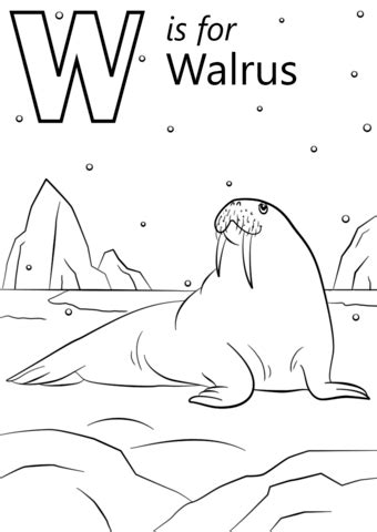 Enjoy coloring in the waddling walrus featured in this walrus coloring page! W is for Walrus coloring page | Free Printable Coloring Pages