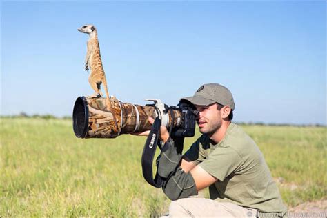 Fascinating Photos Of Wildlife Photographers On The Job 28 Pics