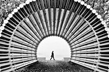 Leading Lines Photo Contest Winners | Line photography, Symmetry ...