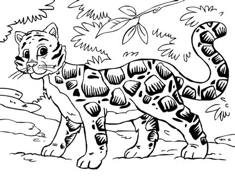 Clouded Leopard Coloring Page Coloring Pages 4 U