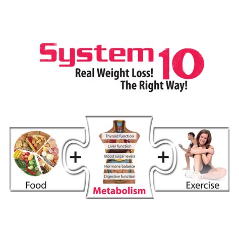 system 10 weight loss 10 golden rules for great weight loss