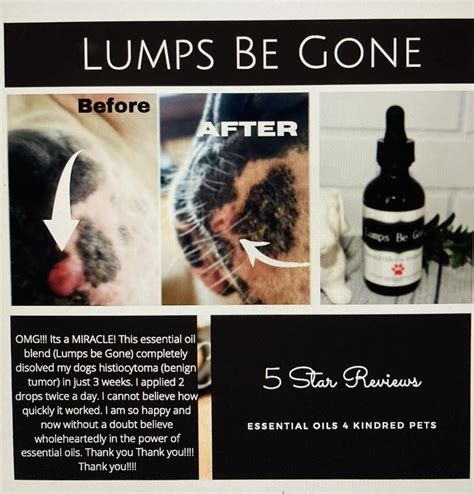 Lumps Be Gone Natural Dog Product For Warts And Lumps Etsy High