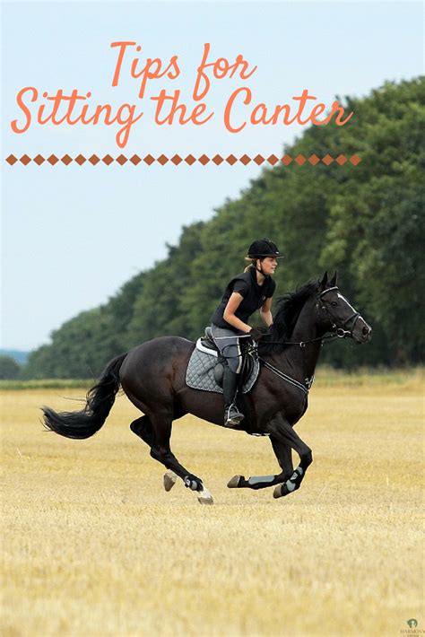 Want To Learn How To Sit A Canter If So Keep In Rhythm With Your