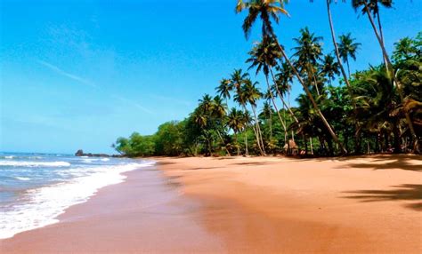 Ankobra Beach Is Perfect For Relaxing In Solitude On A Palm Tree Lined