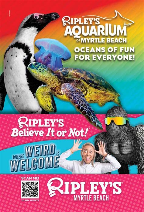 2023 Official Myrtle Beach Visitors Guide By Visit Myrtle Beach Issuu