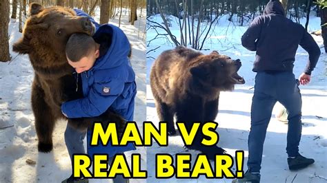 crazy russians versus real bear wrestling football and training with wild predator youtube
