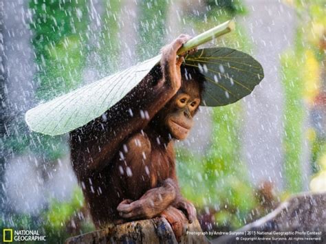Breathtaking Compilation Of National Geographic Photos 10 Pictures