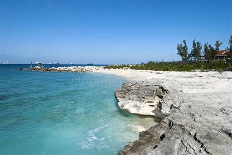 Grand Bahama Island Beach And Cargo Ships Stock Image Image Of Nature