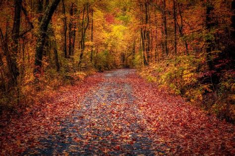 Ozark Mountain Autumn Backroad By Jeff Beer On Capture Arkansas Ozark