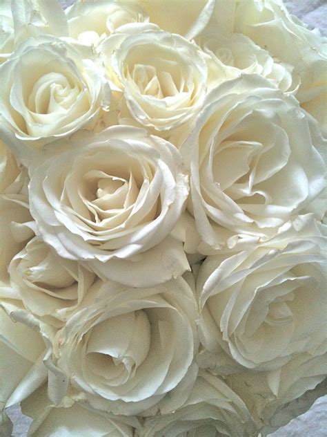 Download, print or send online with rsvp for free. Reminds me of my bridal bouquet of Columbian roses. (With images) | White roses, White flowers ...