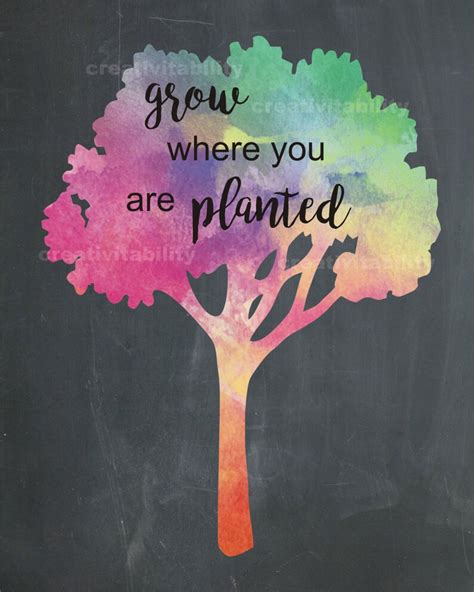 Quotes Inspirational Quotes Grow Where You Are Planted Etsy