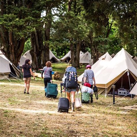 Wildernest On Instagram The Countdown To Womadnz Has Officially