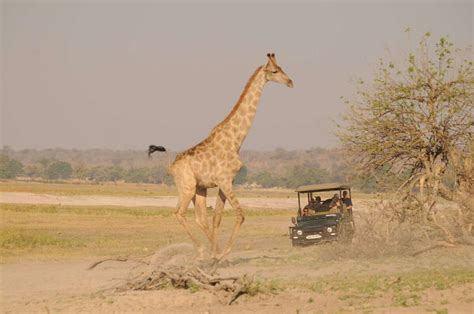 Ngoma Safari Lodge Chobe National Park Botswana Expert Africa