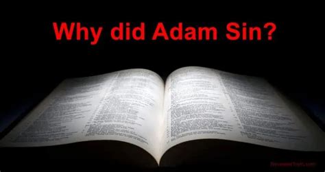 Genesis 3 The Fall Why Did Adam Sin Revealed Truth