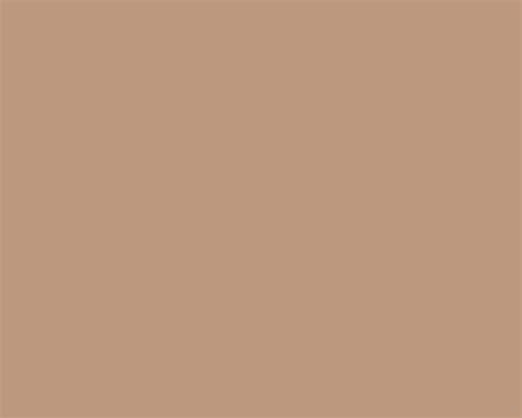 What defines the color taupe? 1280x1024 Pale Taupe Solid Color Background