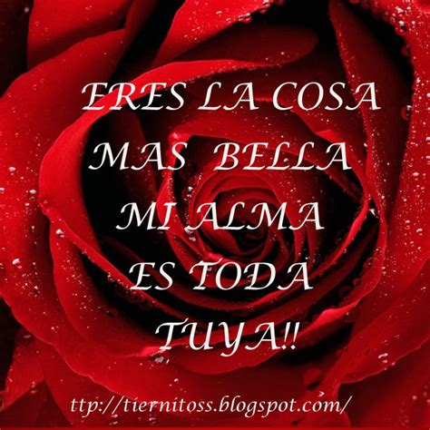 Imagenes De Una Rosa En El Dia Del Amor Para Facebook Gratis