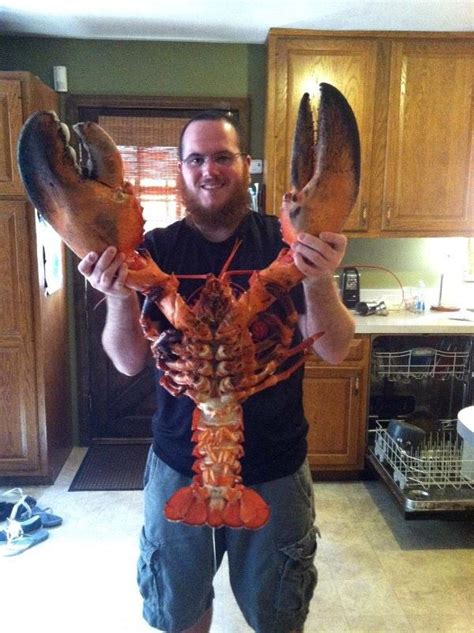 Largest Lobster In The World
