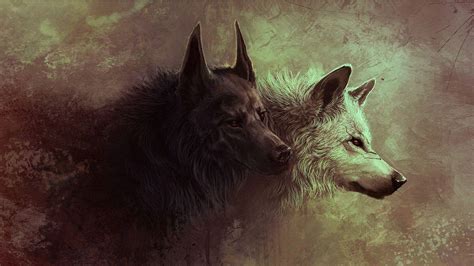Wolf Wallpapers 1920x1080 Wallpaper Cave