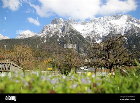 Spring Meadow House Garden With Fruit Trees In Front Of The Karwendel