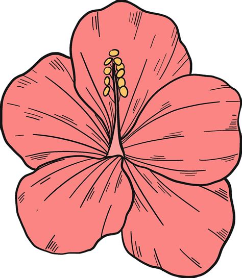 Pink Hibiscus Flower Clipart Free Download Transparent Png Creazilla