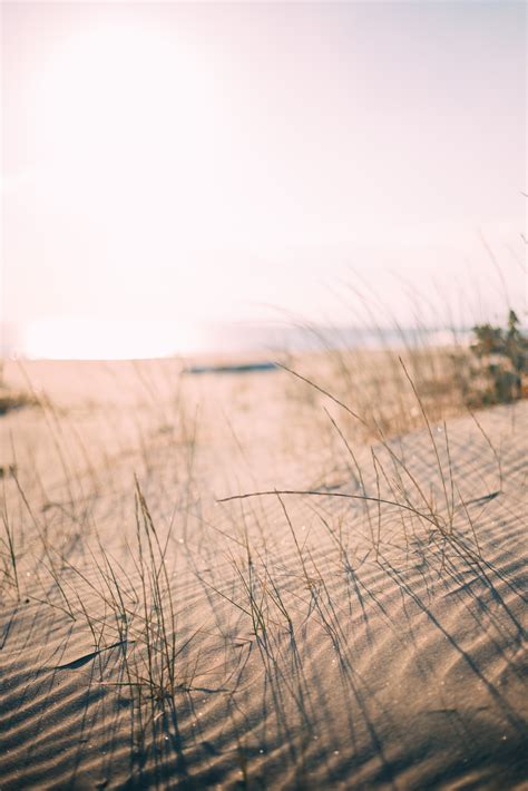 Free Images Landscape Sea Water Sand Horizon Sky Field Prairie