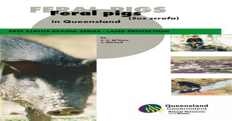 Pestsmart Connect Feral Pigs In Queensland1984 On Feral Pig Control