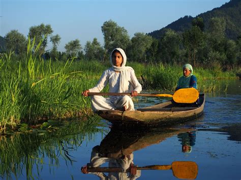 Poise A Shikara Boat Ride On The Dal Lake Kashmir Will Take