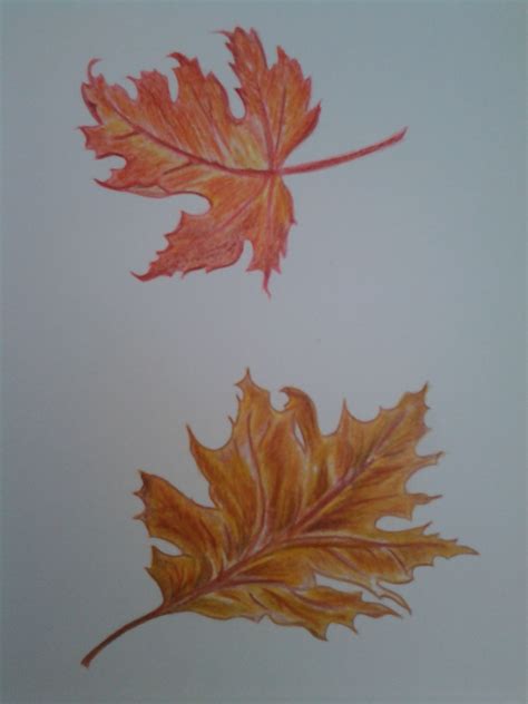 Autumn Leaves Coloured Pencils Sketch Sj Ireland Color Pencil